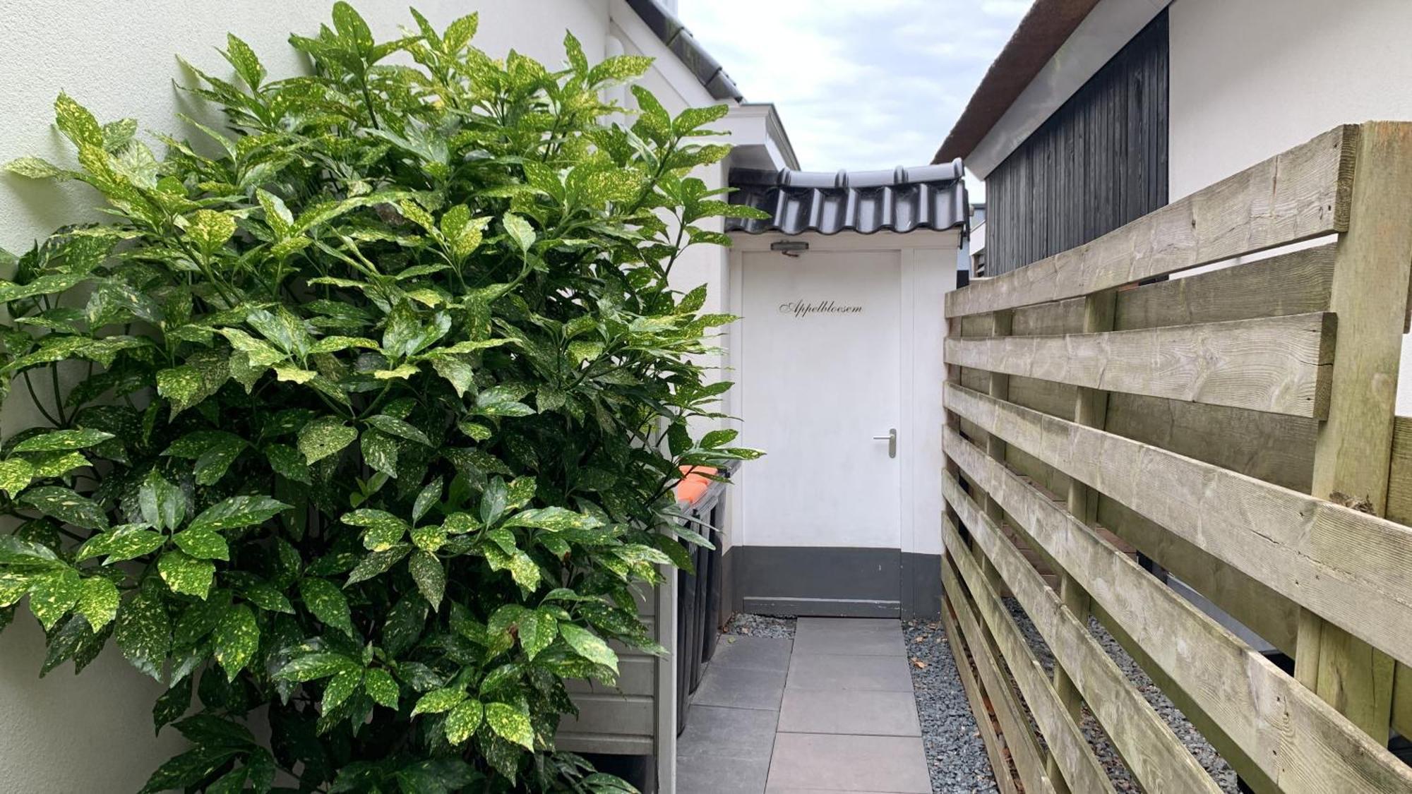 Appelbloesem Villa Bergen Bagian luar foto
